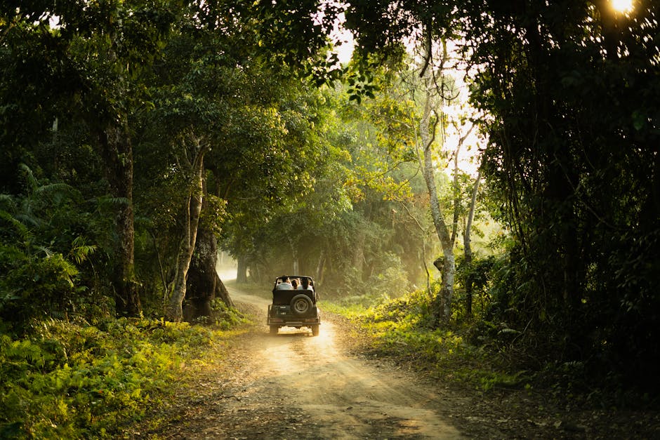 Adventurous Escapes: Travel Off the Beaten Path