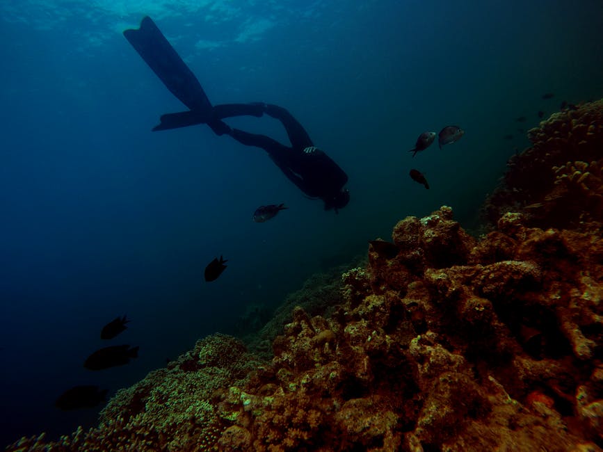 Exploring Indigenous Cultures: A Deep Dive