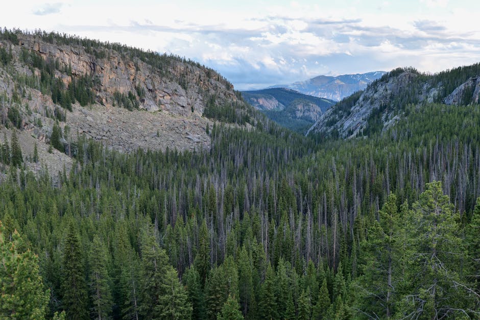 Adventures in Nature: Explore the Great Outdoors