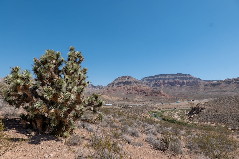 Adventures in Nature: Explore the Great Outdoors